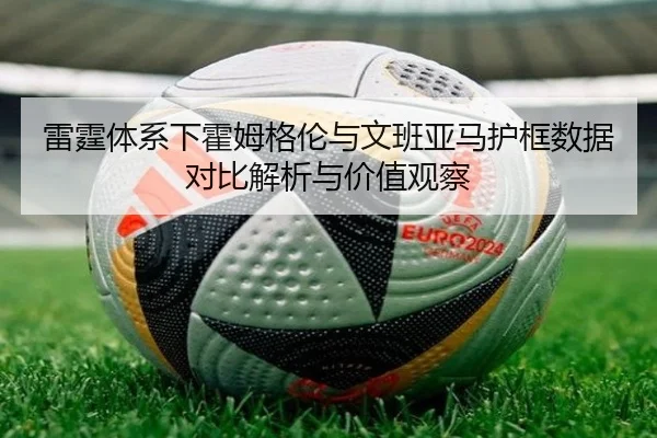 雷霆体系下霍姆格伦与文班亚马护框数据对比解析与价值观察